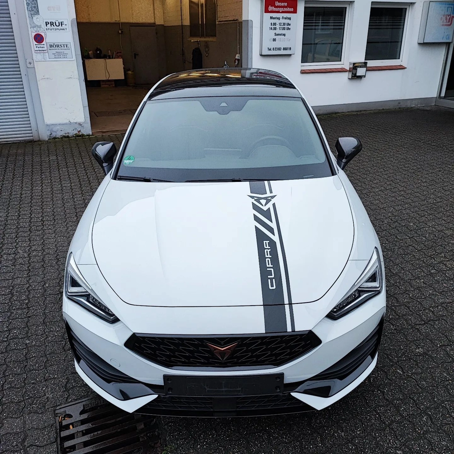 Wrap Society 